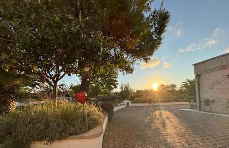 Masseria Cesarina B&B - Foto 58