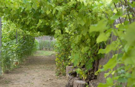 Casa Rural El Caz - Foto 33