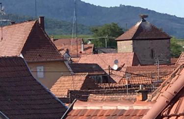 GITE DES FORGERONS - Foto 15