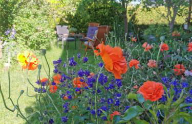 Gartenwohnung Paulsdorf - Foto 11