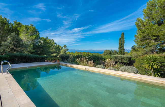 Orquidea 34 - Photo 43