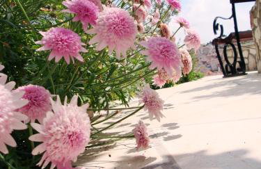 Apartments Olive Tree - Foto 8