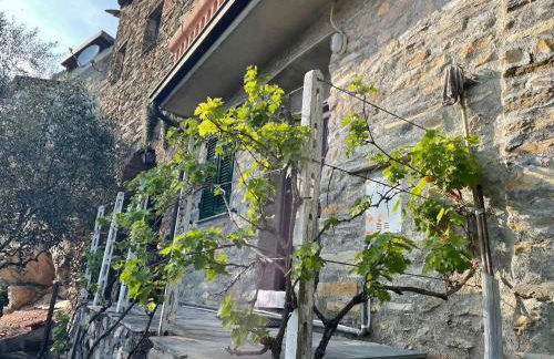 Casa di nonno Memé CITRA 008035-LT-0018 - Photo 68