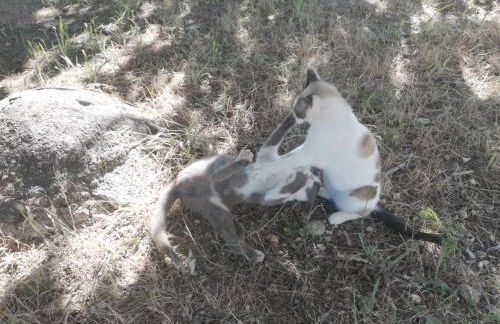 Starbase18 lda Ecotourism - Foto 23