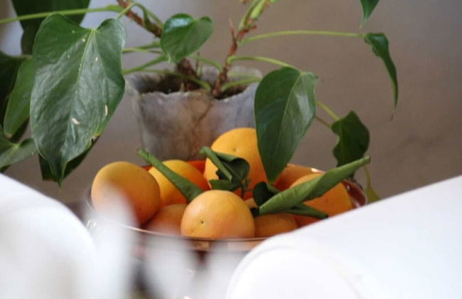 Jan Harmsgat Country House - Foto 41