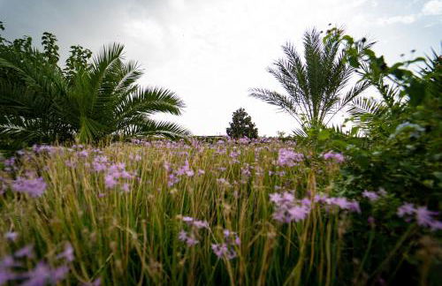 Mas Montbrio Belvedere - Foto 53