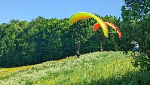 Attractive 2 room apartment south of Munich - Foto 4, Garden