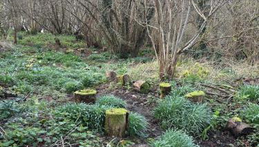 Little Vine Cottage in the grounds of Leeds Castle - Foto 2