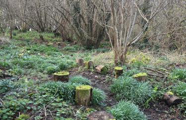 Little Vine Cottage in the grounds of Leeds Castle - Foto 2
