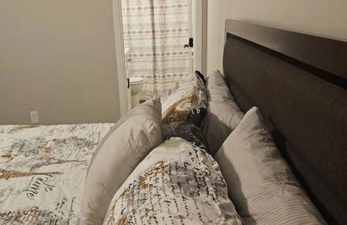 Completely Modern Furnished Private House Near Mayo Clinic - Foto 20