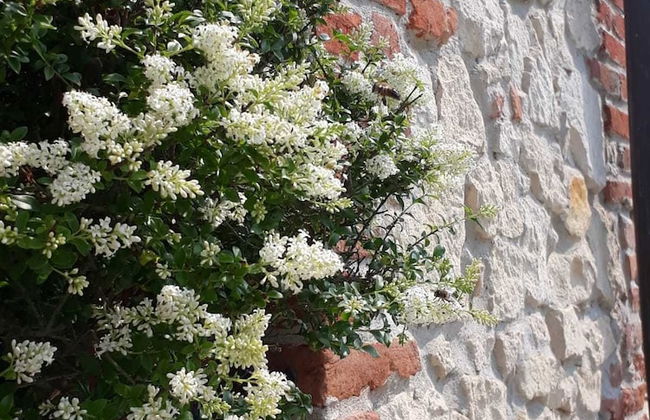 Casa Bassetto - Foto 18