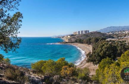 Lovely Oasis Marisol Premium 100mts to the sea - Photo 48