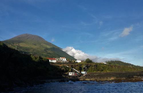 Melo's Place - Photo 32