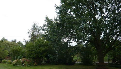 Apartments in Vetschau Spreewald 2618 - Foto 5, Garden