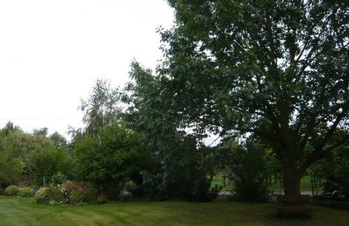 Apartments in Vetschau Spreewald 2618 - Foto 5