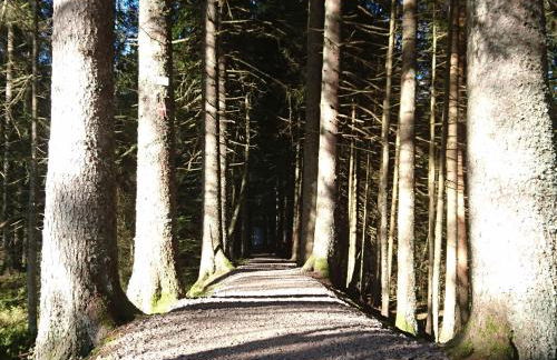 Biber Lodge - Foto 19