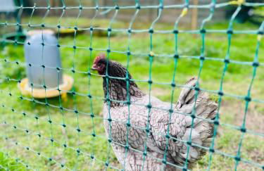 Le Gîte d’en Bas-St Valery à 15min-Équipement bébé - Foto 48