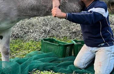 Margherita Holiday Home - Foto 77