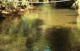 Chácara Cristo Rei - Foto 10