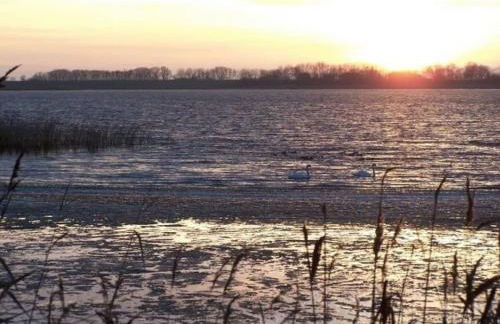 Holiday apartment in Zirchow with barbecue - Foto 19