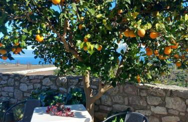 Apartment Areti - Foto 14