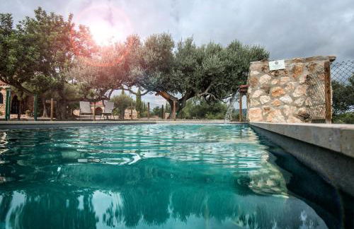 Finca Jabali - Foto 23