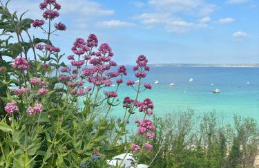 Porthminster View Luxury Sea Views Balcony, Parking, Pool, Spa & Gym - Foto 39