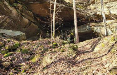 2 Bedroom home near Mammoth Cave NP - Foto 16