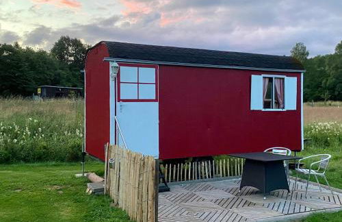 Alte Mühle Börfink - Foto 22