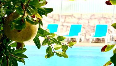 Hakuna Matata - Foto 1, Garden