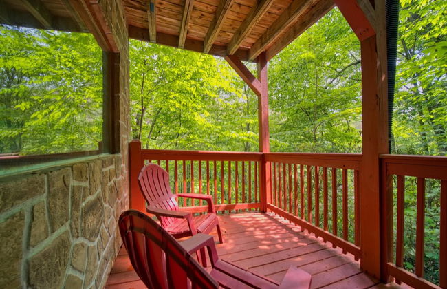 Mountain Laurel - Foto 37