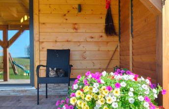 Domek Cichy Zakątek Beskid Niski - Foto 43