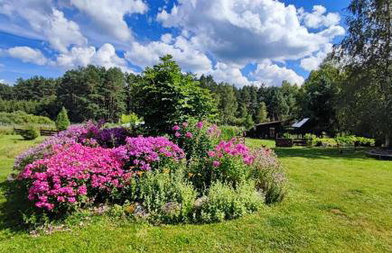 Ostoja Leśna Cisza - Foto 2