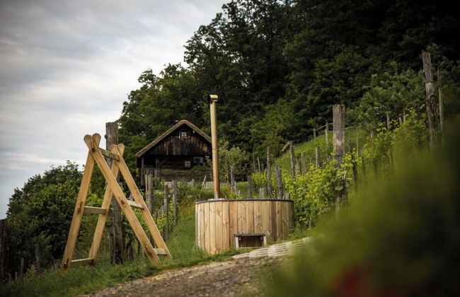 Vineyard Cottages Škatlar - Foto 34