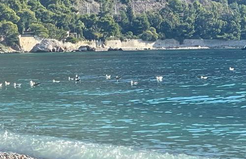 Ezevacances Studio Capuccino vue mer 5 mn plage 7 mn gare Wifi - Foto 40