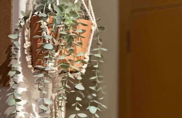 Apartamento El Picu - Foto 12