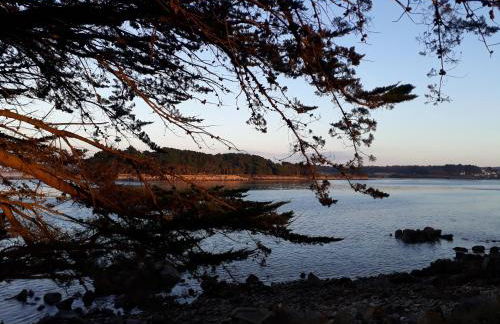 Île Grande, Location maison saisonnière chez Dom et Cathy C - Foto 20