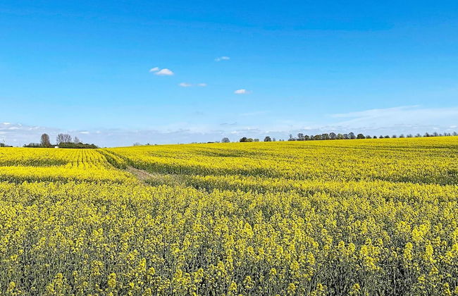 3 Person Holiday Home in Skivarp - Foto 3