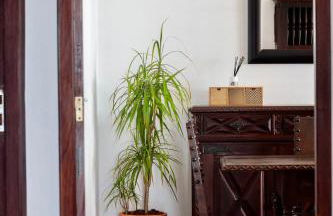 Apartamento do Arquinho I - by VinteOito - Foto 16