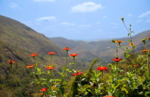 Aurora Homestead - Foto 14