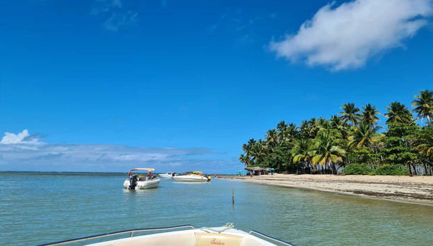 Excursão às praias de Moreré e Cueira na Ilha de Boipeba - Foto 4