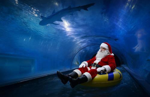 Leśna Przystań Rumia - obok Gdyni i Aquaparku Reda - Foto 27