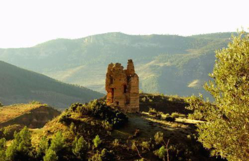 Los Gavilanes BOGARRA - Foto 23