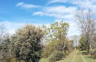 La garenne basse chez Sylvie - Foto 13