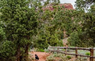Pool & Hot Tub Close to hiking trails in Kanab - Foto 76