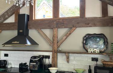 STARGAZER adult only - Foto 13