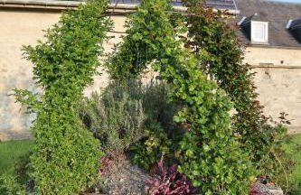 Gîtes De Saint Rémy - Foto 28