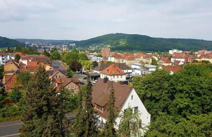 1,5 Zimmer Apartments mit traumhafter Aussicht - Foto 1