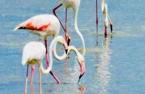 Relax Near The Sea - Foto 63