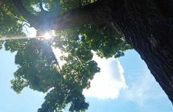 Pokoje gościnne Słoneczny Klon Dąbrówno - Foto 75